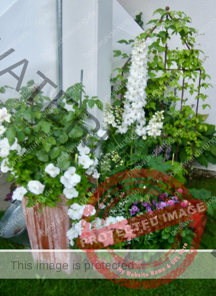 Garten HS Topfgarten