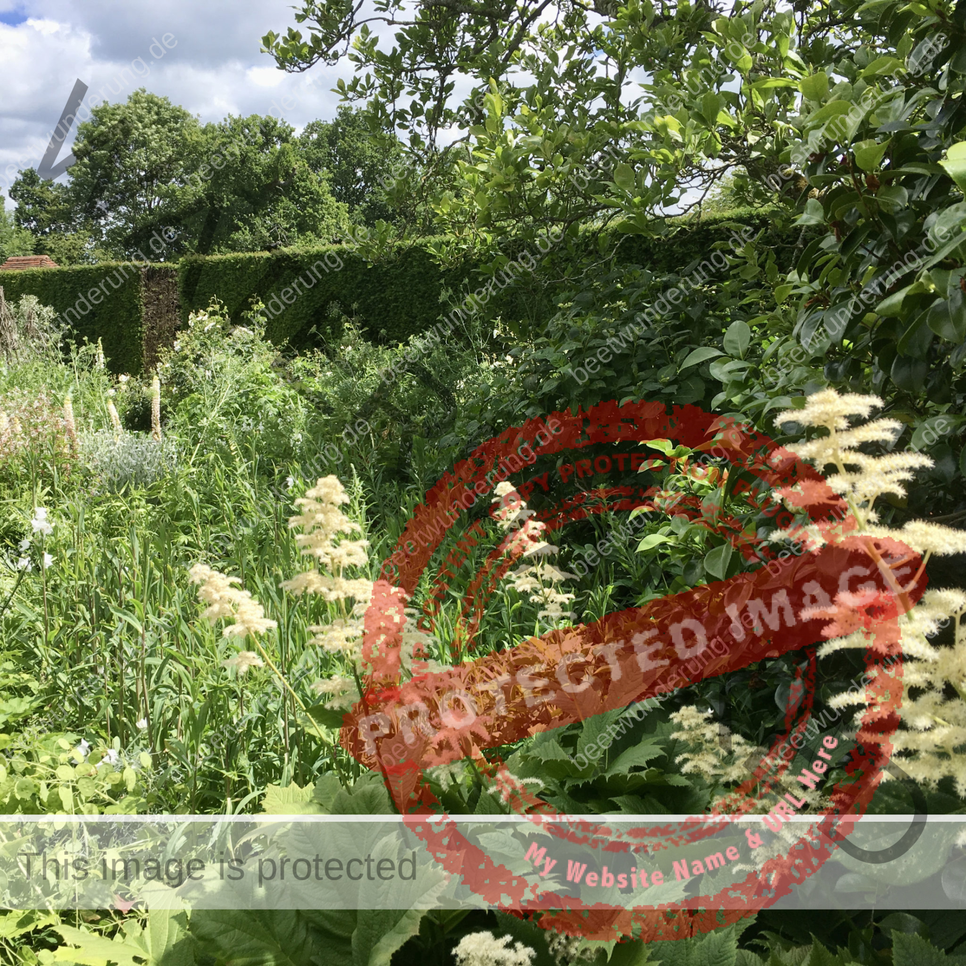 GARTEN BLOG / beetwunderung.de / Der Weisse Garten von Sissinghurst