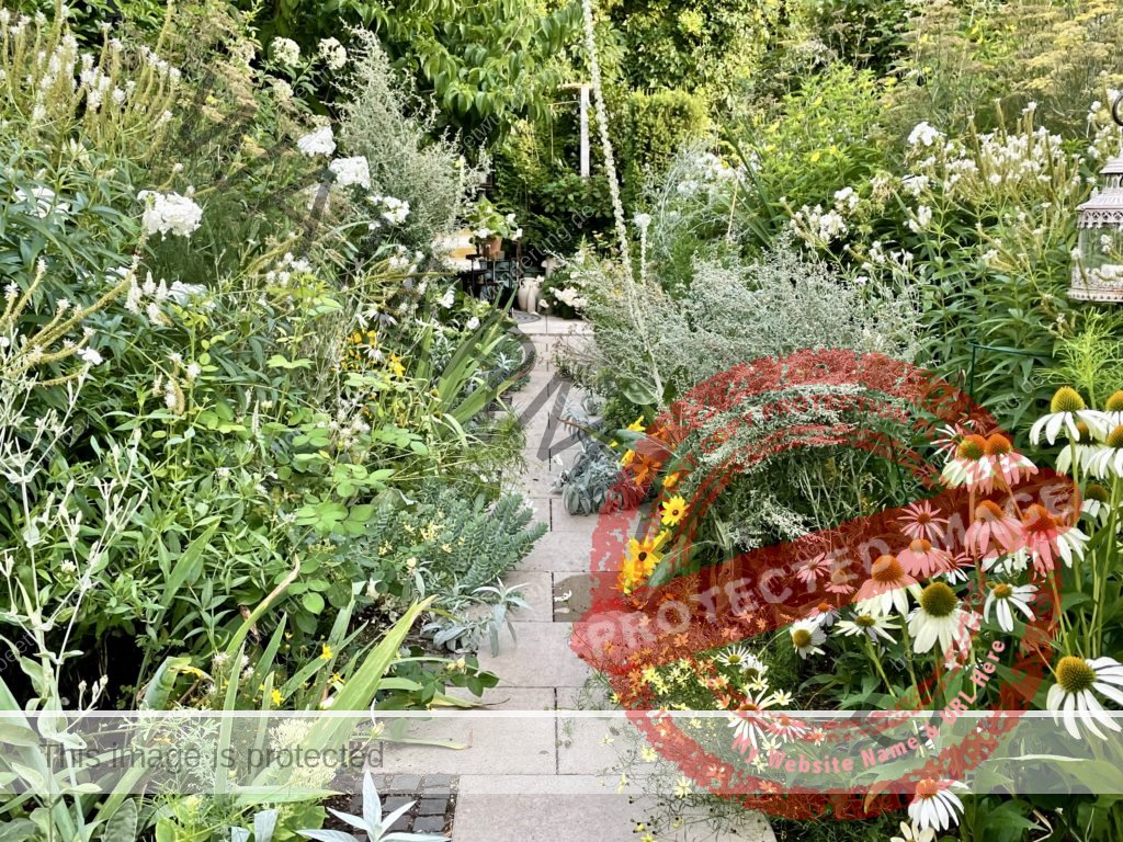 Hitze
Hitzetipps
Pflanzen
hängende Blätter
gießen
Molchen
Klima
Klimagerecht
Klimawandel
Klimapflanze
garten
Trockenheit
trockenheitsresistent
Wasser sparen
Gartentipp
beetwunderung
Blüh auf
Sven Beck
Staudenbeet
gelb weisss
Sonnenhut
Wermut