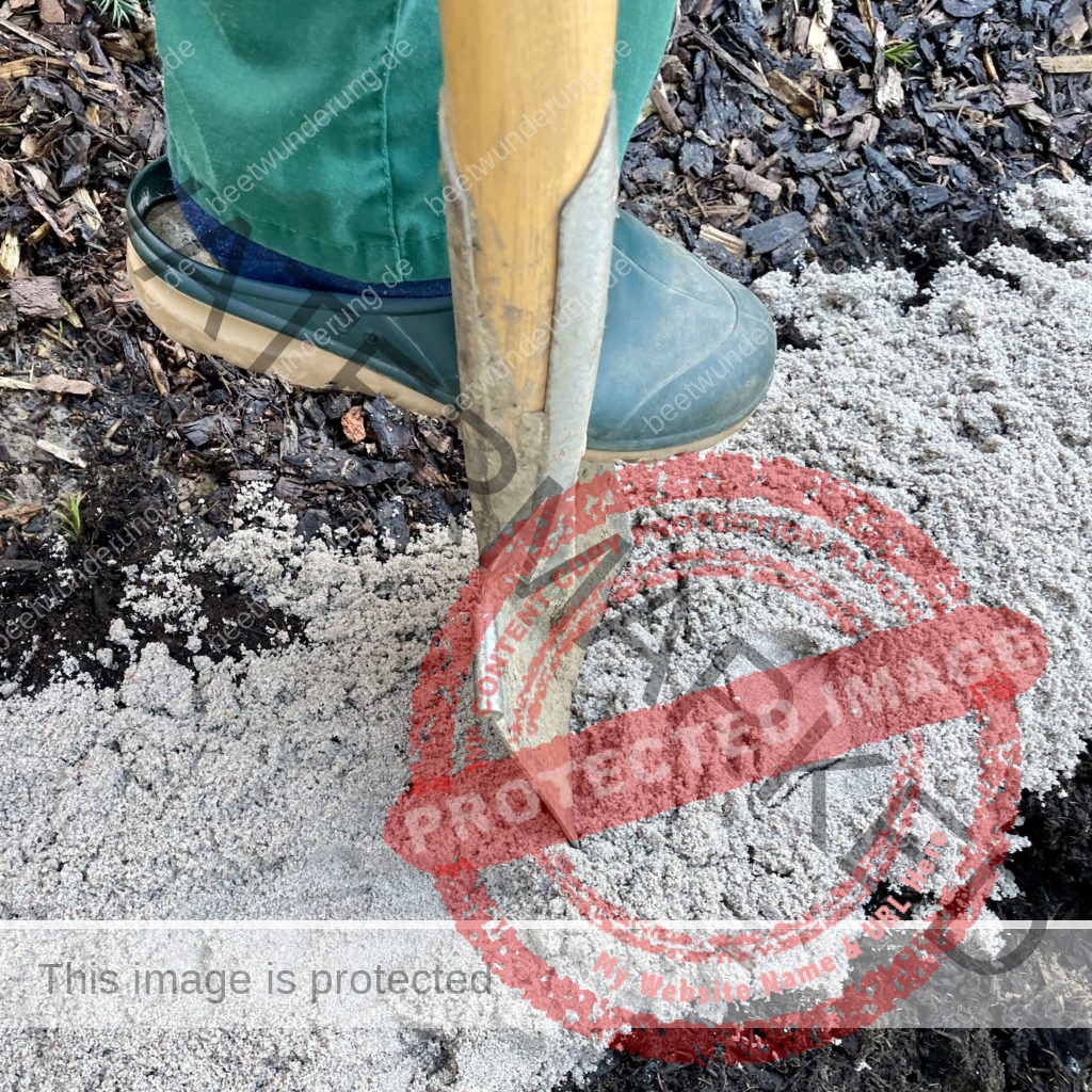 Hitze
Hitzetipps
Pflanzen
hängende Blätter
gießen
Molchen
Klima
Klimagerecht
Klimawandel
Klimapflanze
garten
Trockenheit
trockenheitsresistent
Wasser sparen
Gartentipp
beetwunderung
Blüh auf
Sven Beck
Sand
aufbessern
Erde