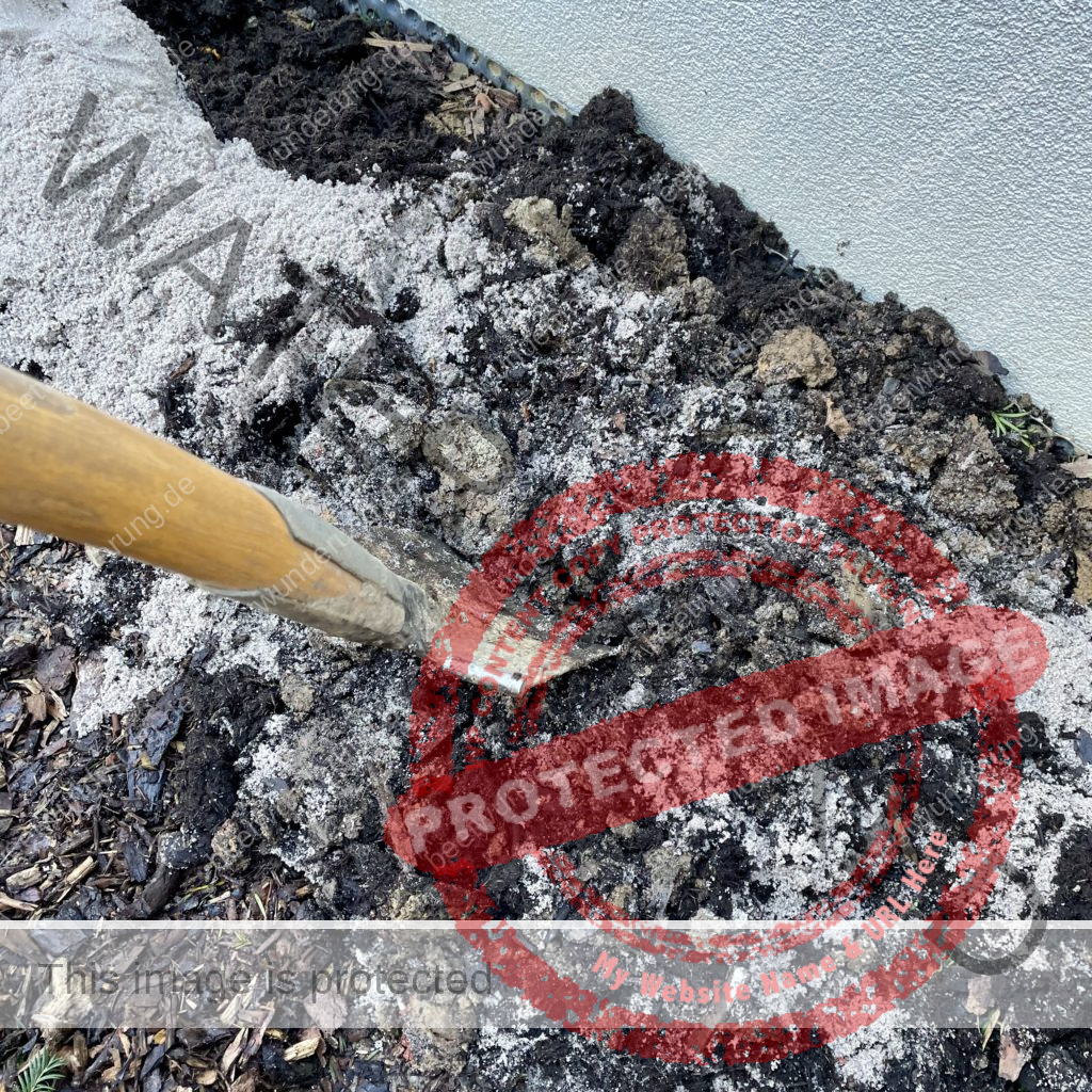 Hitze
Hitzetipps
Pflanzen
hängende Blätter
gießen
Molchen
Klima
Klimagerecht
Klimawandel
Klimapflanze
garten
Trockenheit
trockenheitsresistent
Wasser sparen
Gartentipp
beetwunderung
Blüh auf
Sven Beck
Erde aufbessern
umgraben