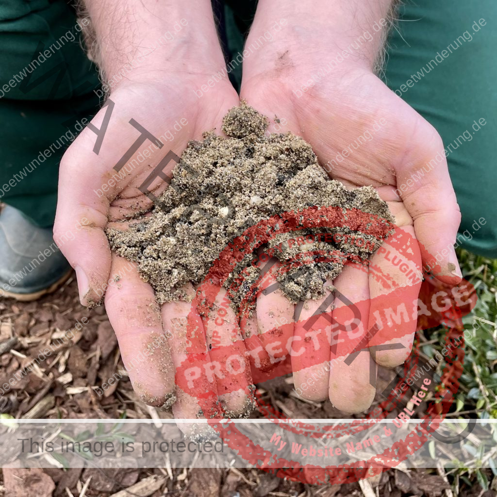 Hitze
Hitzetipps
Pflanzen
hängende Blätter
gießen
Molchen
Klima
Klimagerecht
Klimawandel
Klimapflanze
garten
Trockenheit
trockenheitsresistent
Wasser sparen
Gartentipp
beetwunderung
Blüh auf
Sven Beck
erde
Boden
sandig