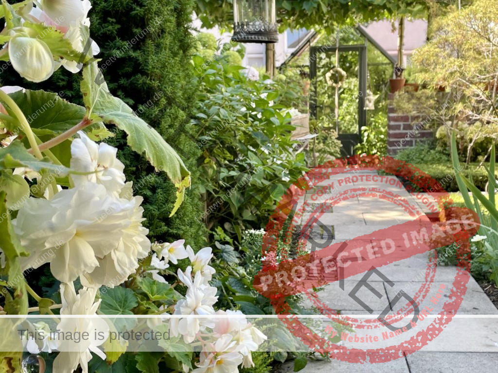Hitze
Hitzetipps
Pflanzen
hängende Blätter
gießen
Molchen
Klima
Klimagerecht
Klimawandel
Klimapflanze
garten
Trockenheit
trockenheitsresistent
Wasser sparen
Gartentipp
beetwunderung
Blüh auf
Sven Beck
Gewächshaus
Weg
Begonie