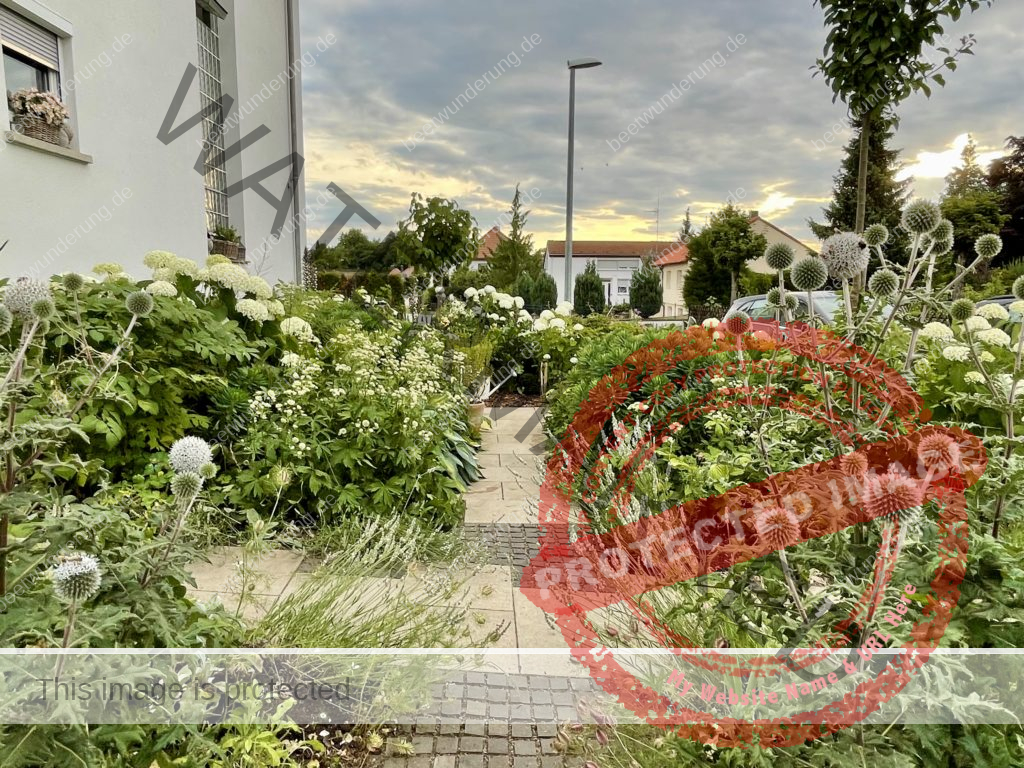 Hitze
Hitzetipps
Pflanzen
hängende Blätter
gießen
Molchen
Klima
Klimagerecht
Klimawandel
Klimapflanze
garten
Trockenheit
trockenheitsresistent
Wasser sparen
Gartentipp
beetwunderung
Blüh auf
Sven Beck
Vorgarten
Schattengarten
Weißer Garten