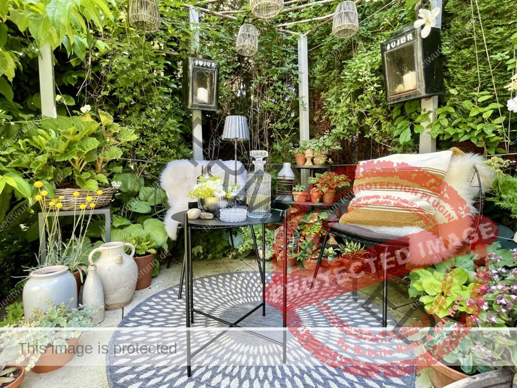 Rose Rosen Rambler Sitzplatz Laube