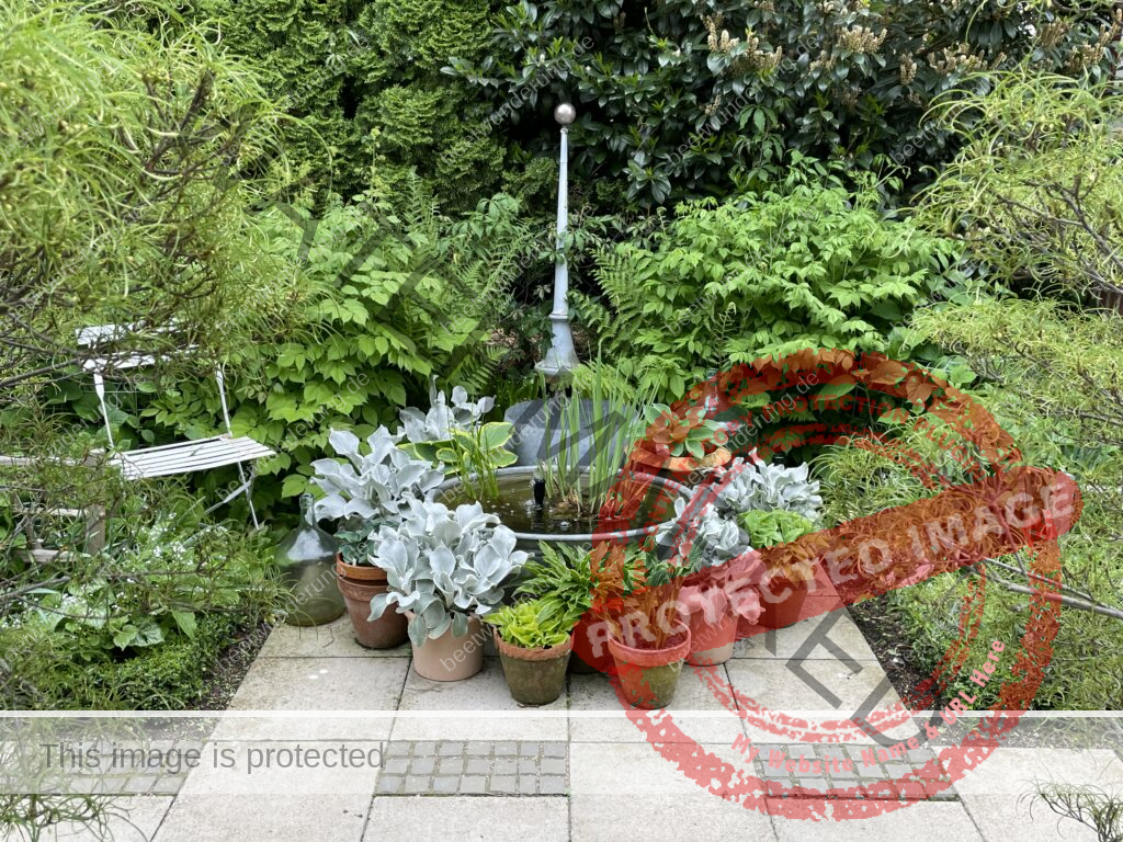 Weißer Garten
Beetwunderung
Miniteich
