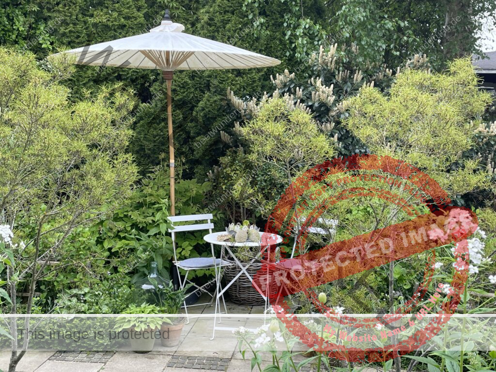 Weißer Garten
Beetwunderung