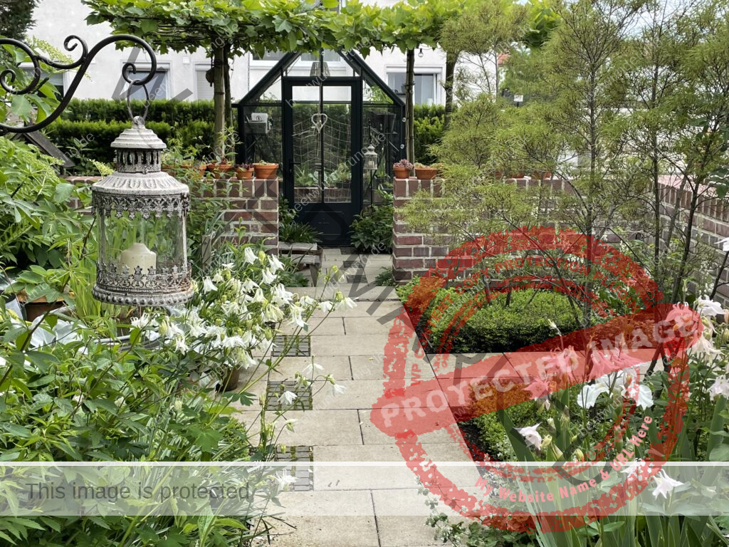 Weißer Garten
Beetwunderung
Frühjahr
Akelei
Gewächshaus