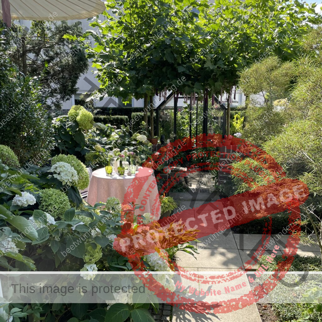 Weißer Garten
Beetwunderung