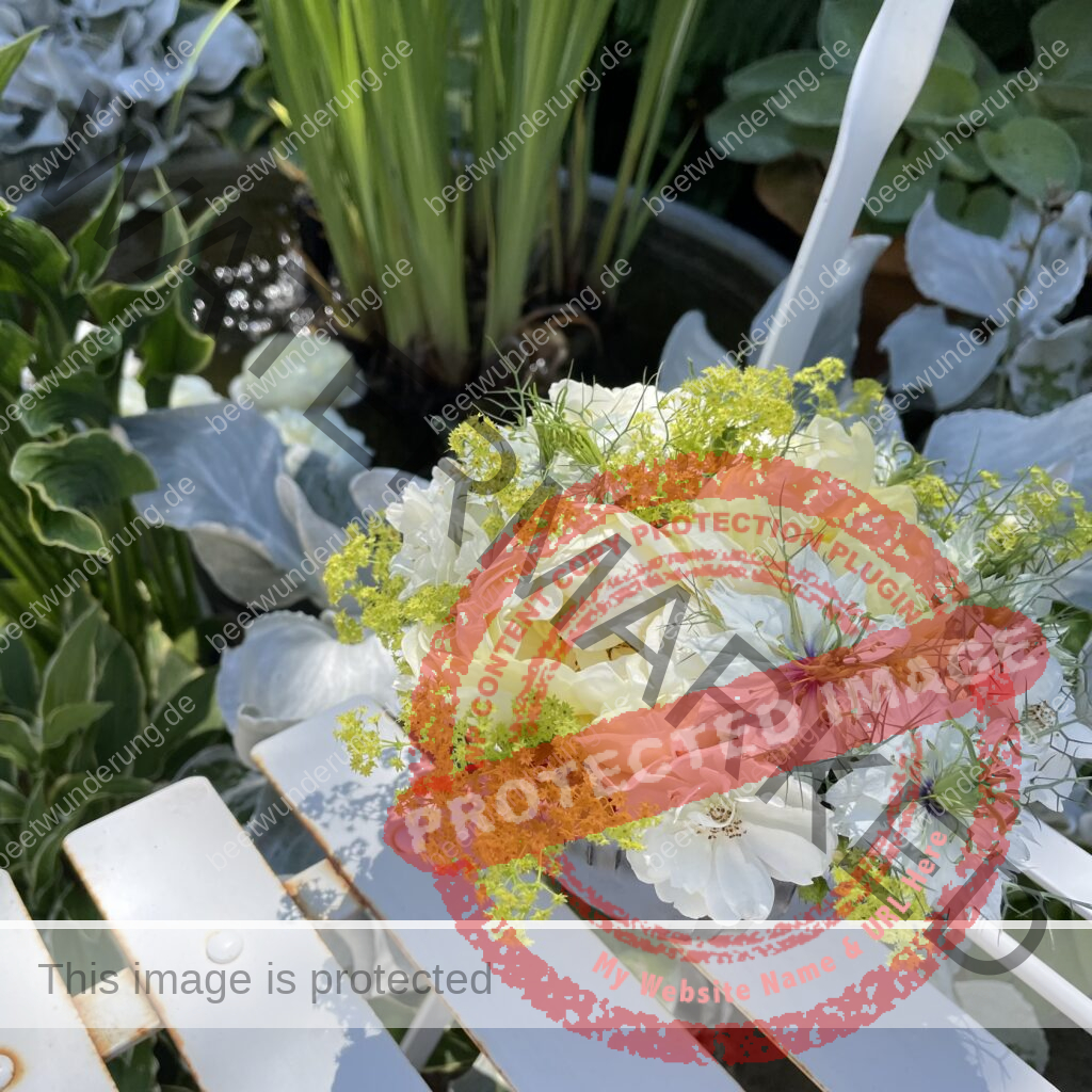 Weißer Garten
Beetwunderung