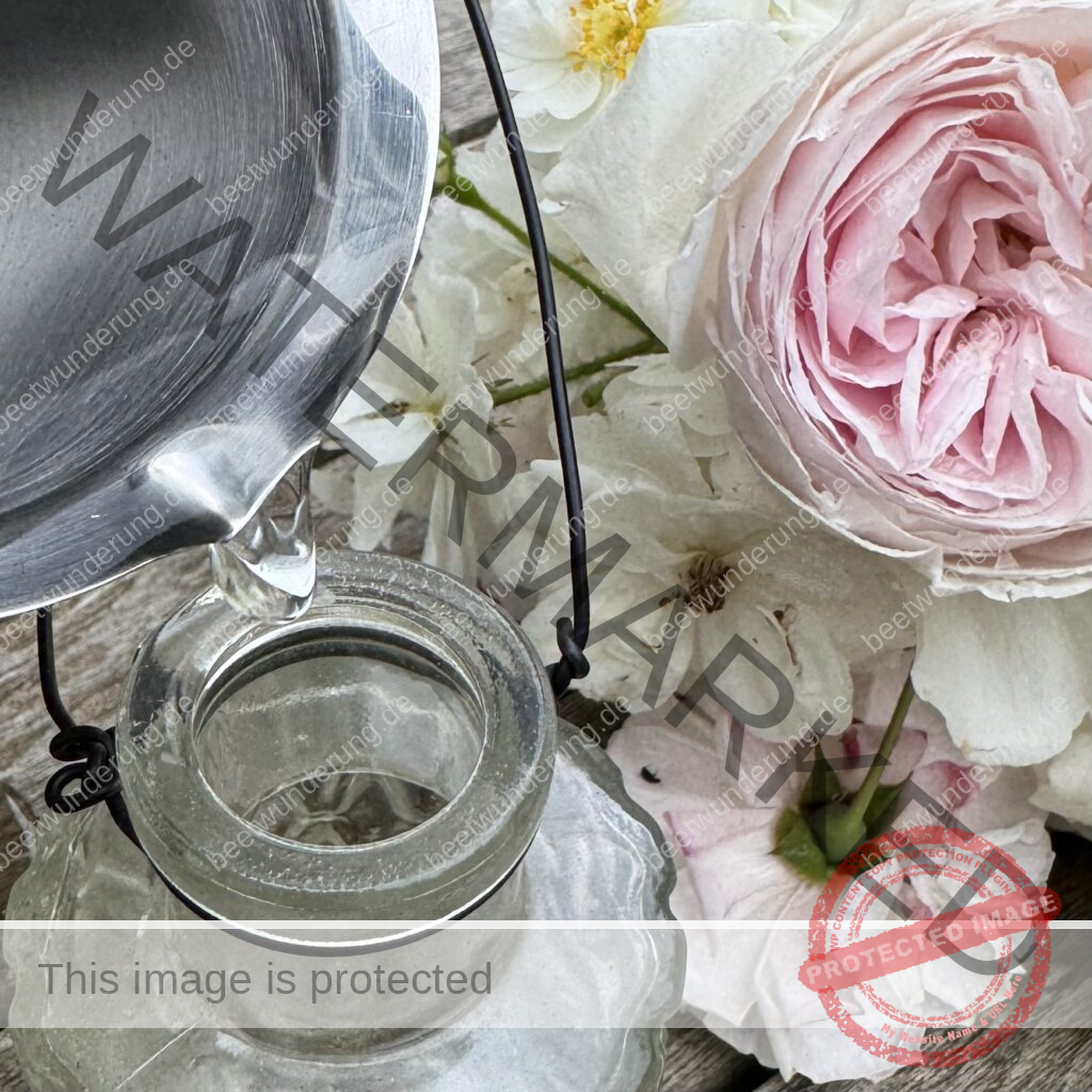 Rosendekoration
Rose
Dekoration
Garten
Blüten
Hängevase
Staketenzaun