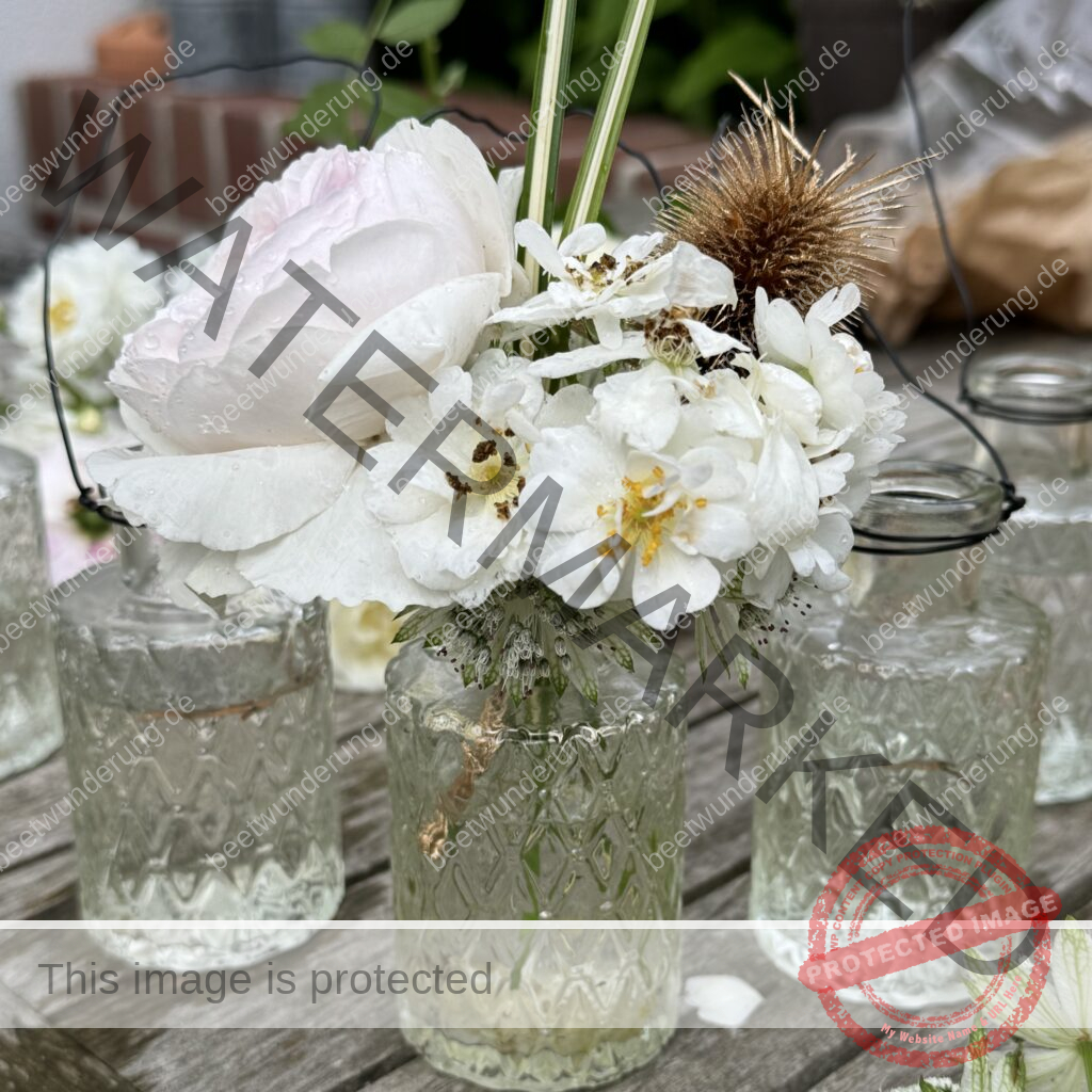 Rosendekoration
Rose
Dekoration
Garten
Blüten
Hängevase
Staketenzaun