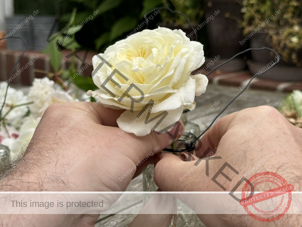 Rosendekoration
Rose
Dekoration
Garten
Blüten
Hängevase
Staketenzaun
Floristik
Strauß