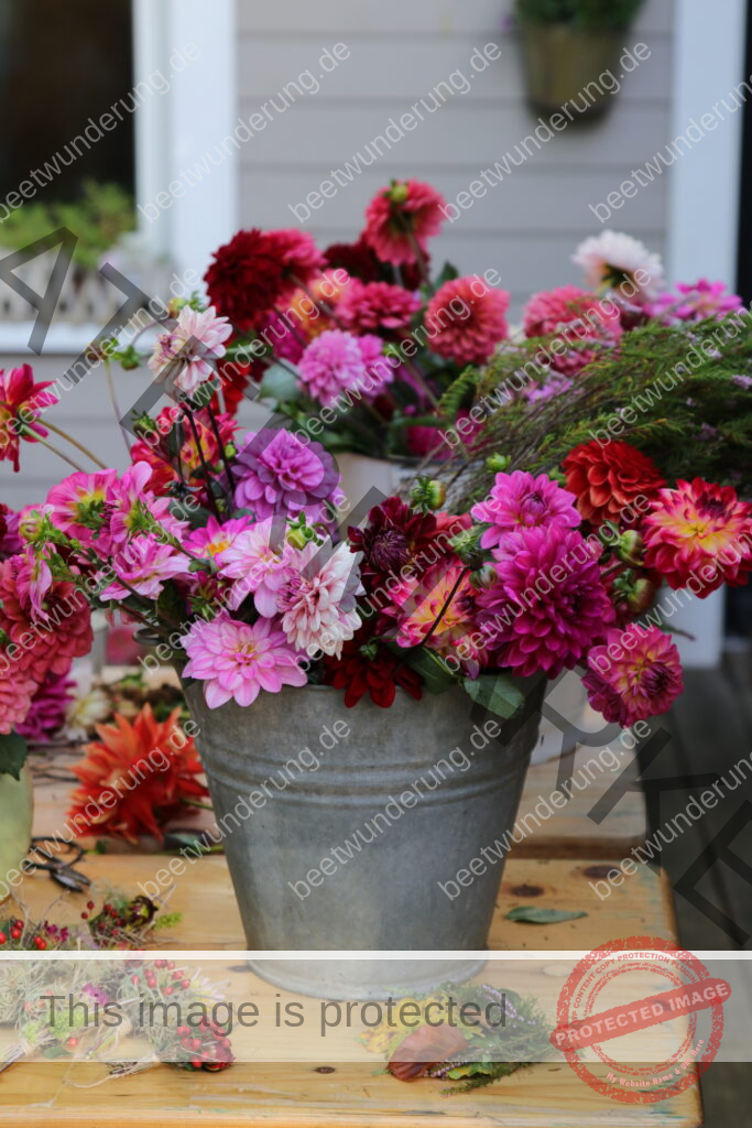 Herbst
Cottage Garten
Herbstdekoration
Herbstdeko
Herbstpflanzen
Stauden
Dekoration
Tischdekoration
Sarah Stiller
mycottagegarten.de
beetwunderung.de
Sven Beck
Blüh auf
Buch
Hagebutte
Dahlie
Rose
Garten
Gartenblog