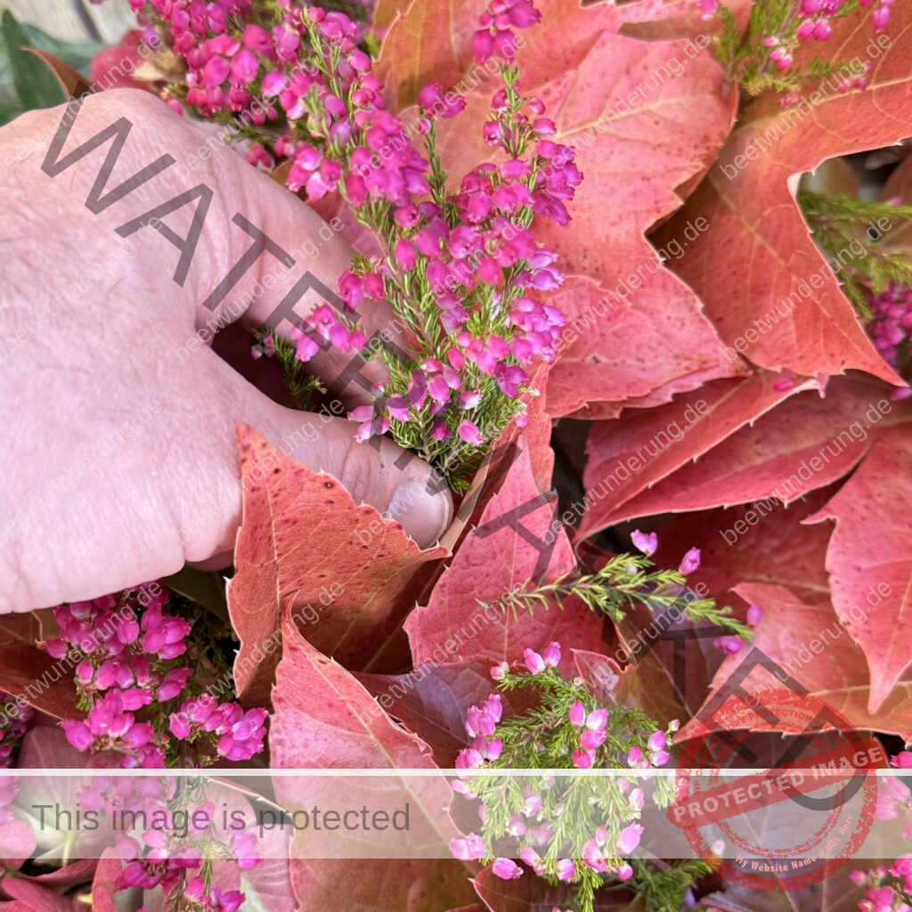 Herbstkranz
Herbstgesteck
Trend 2024
Herbstfarbe
Tischdekoration
Dekoration
Herbst
Herbstkranz
Betonschale
Kerzenständer
Vase
Dahlie
Strohblume
Heide
Outdoor
Indoor
Interiordesign
Möbel Mock
beetwunderung
Sven Beck
Blüh auf
Buch
Kreatividee
blomus
Laterne LITO