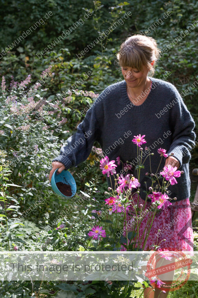 Herbst
Cottage Garten
Herbstdekoration
Herbstdeko
Herbstpflanzen
Stauden
Dekoration
Tischdekoration
Sarah Stiller
mycottagegarten.de
beetwunderung.de
Sven Beck
Blüh auf
Buch
Hagebutte
Dahlie
Rose
Garten
Gartenblog