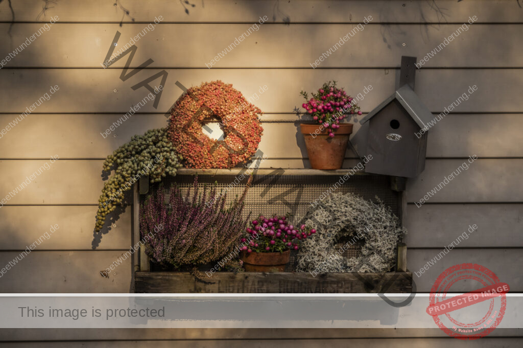 Herbst
Cottage Garten
Herbstdekoration
Herbstdeko
Herbstpflanzen
Stauden
Dekoration
Tischdekoration
Sarah Stiller
mycottagegarten.de
beetwunderung.de
Sven Beck
Blüh auf
Buch
Hagebutte
Dahlie
Rose
Garten
Gartenblog
