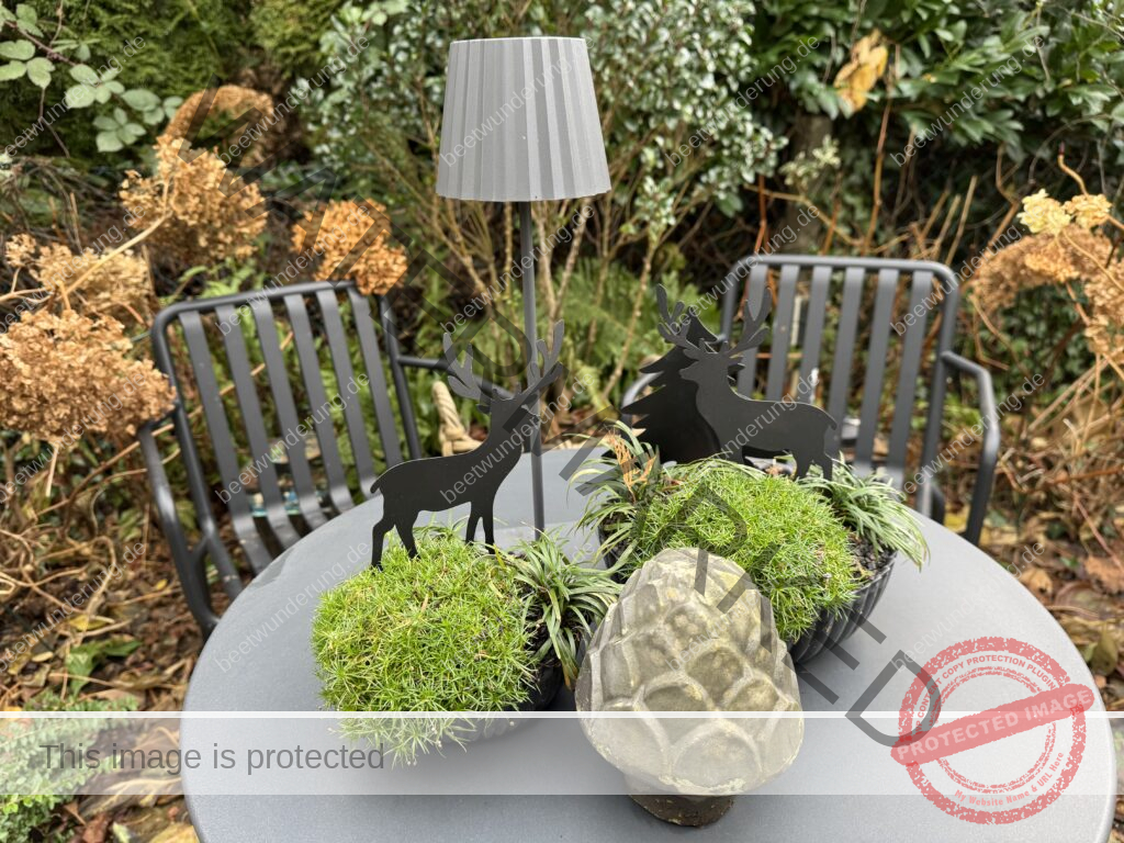 Winter
Weihnachten
Garten
Staudengarten
Gartenblog
Gedicht
Poesie
Mein Garten voller Poesie
Barbara von Kalm
Sven Beck
Frost
Dekoration
beetwunderung.de
Blüh auf! Buch