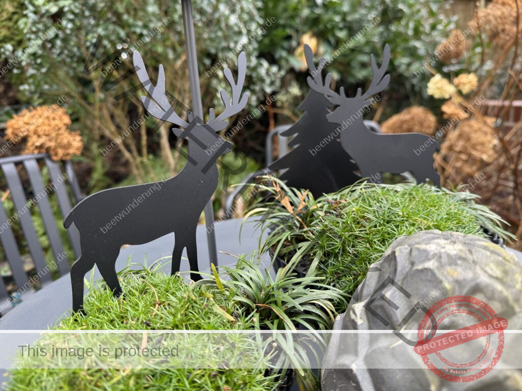 Winter
Weihnachten
Garten
Staudengarten
Gartenblog
Gedicht
Poesie
Mein Garten voller Poesie
Barbara von Kalm
Sven Beck
Frost
Dekoration
beetwunderung.de
Blüh auf! Buch
