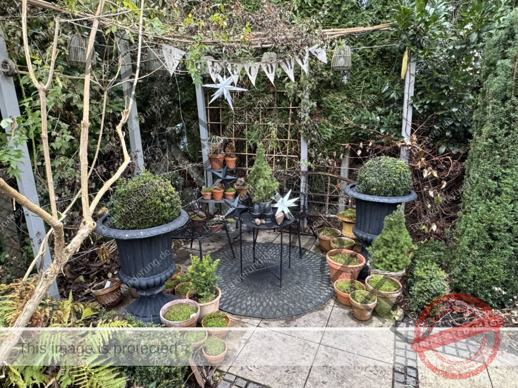 Winter
Weihnachten
Garten
Staudengarten
Gartenblog
Gedicht
Poesie
Mein Garten voller Poesie
Barbara von Kalm
Sven Beck
Frost
Dekoration
beetwunderung.de
Blüh auf! Buch