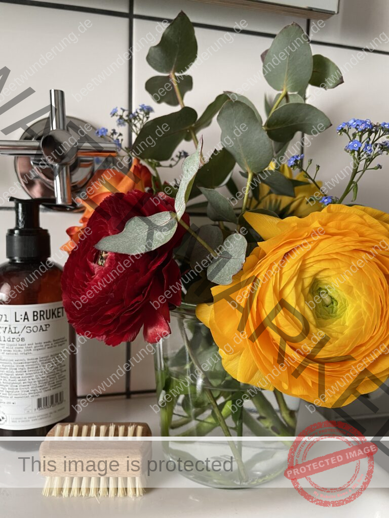 Ranunkel
Ranunculus
Anbau
Anzucht
Anpflanzen
Blume
Blüte
Frühling
Knolle
Ranunkelkralle
Blumenstrauß
Slow Flowers
beetwunderung.de
Sven Beck
Garten
Gartenblog
Topfpflanze
Frühlingsblüher
Buch Blüh auf!
EMF Verlag