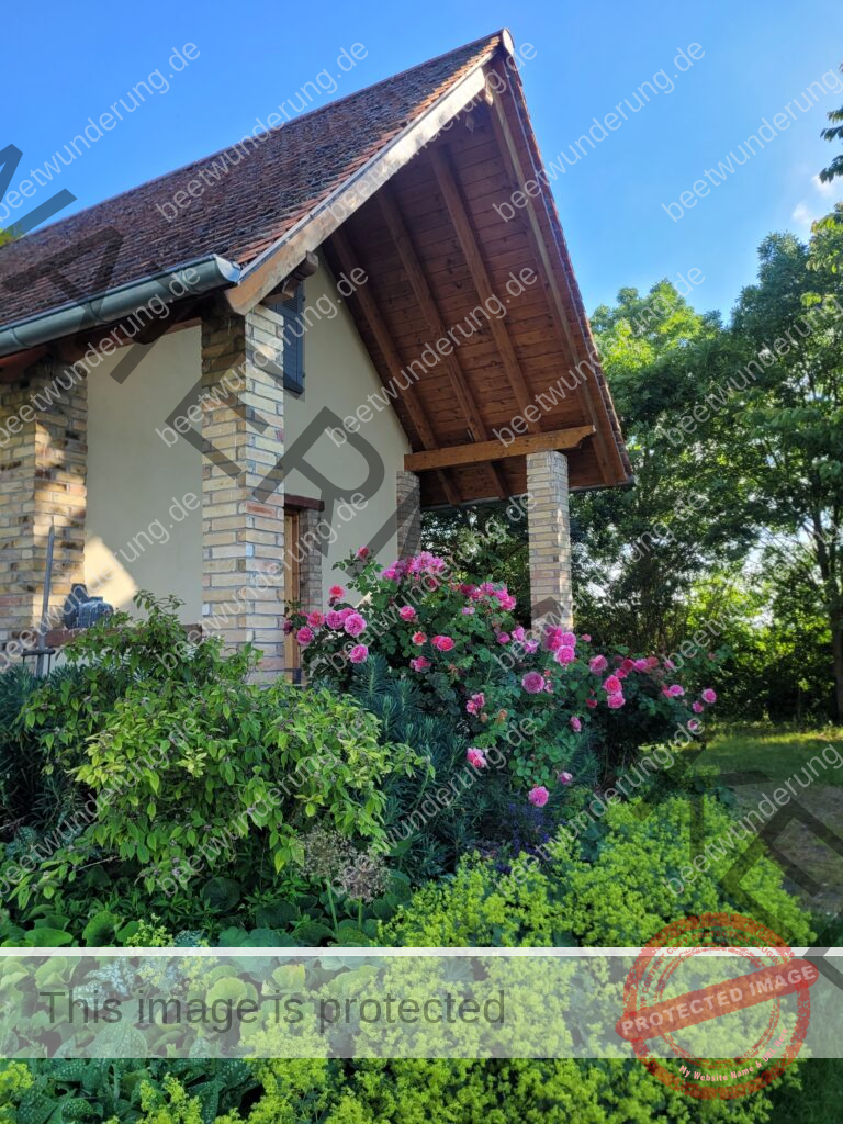 Sitzplatz
Lieblingssitzplatz
beetwunderung.de
terrasse
Gartenstühle
Gartentisch
sven beck
blüh auf!
Gartenbuch
