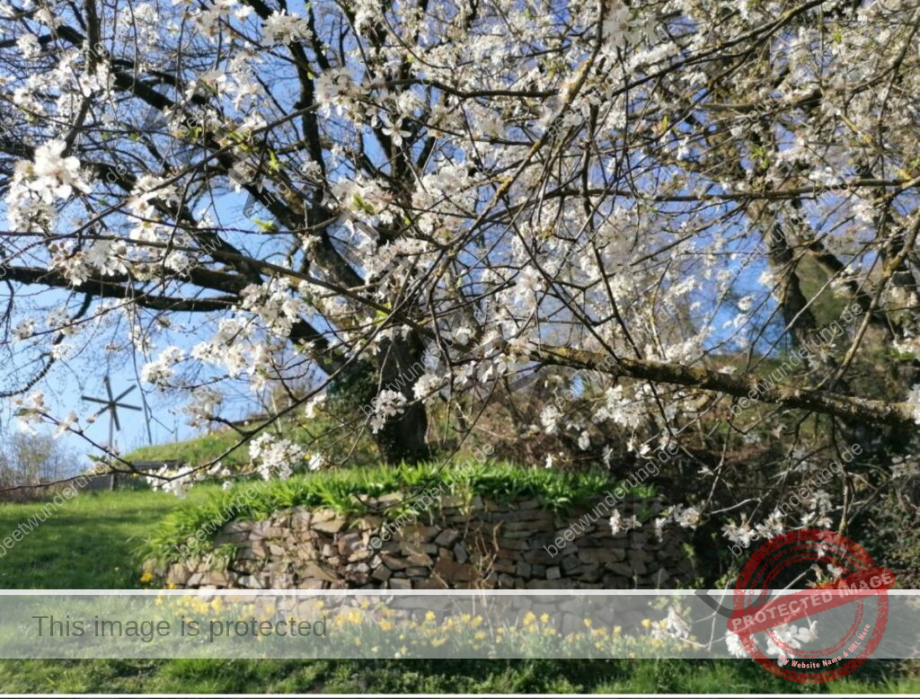 Sitzplatz
Lieblingssitzplatz
beetwunderung.de
terrasse
Gartenstühle
Gartentisch
sven beck
blüh auf!
Gartenbuch