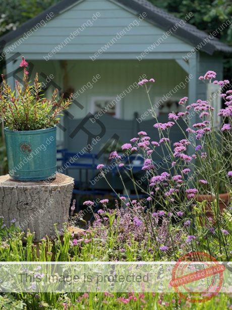 Sitzplatz
Lieblingssitzplatz
beetwunderung.de
terrasse
Gartenstühle
Gartentisch
sven beck
blüh auf!
Gartenbuch