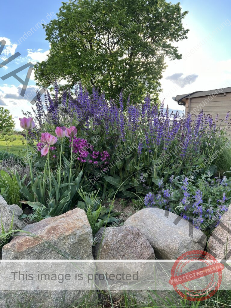 Sitzplatz
Lieblingssitzplatz
beetwunderung.de
terrasse
Gartenstühle
Gartentisch
sven beck
blüh auf!
Gartenbuch