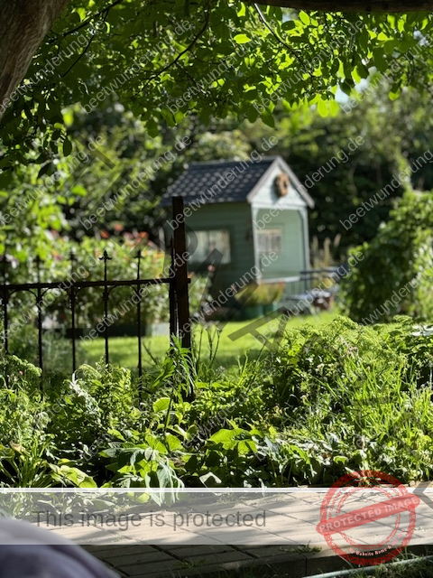 Sitzplatz
Lieblingssitzplatz
beetwunderung.de
terrasse
Gartenstühle
Gartentisch
sven beck
blüh auf!
Gartenbuch