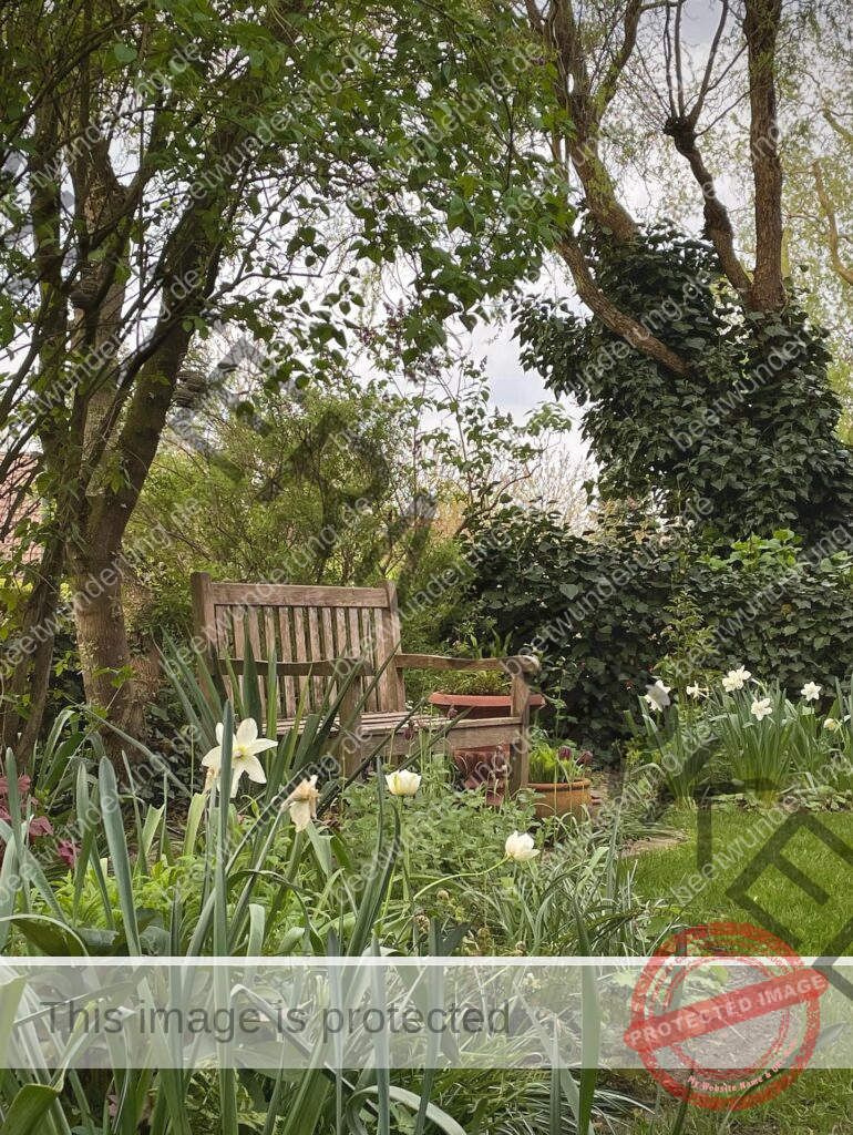 Sitzplatz
Lieblingssitzplatz
beetwunderung.de
terrasse
Gartenstühle
Gartentisch
sven beck
blüh auf!
Gartenbuch