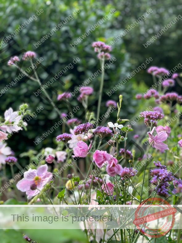 Sitzplatz
Lieblingssitzplatz
beetwunderung.de
terrasse
Gartenstühle
Gartentisch
sven beck
blüh auf!
Gartenbuch