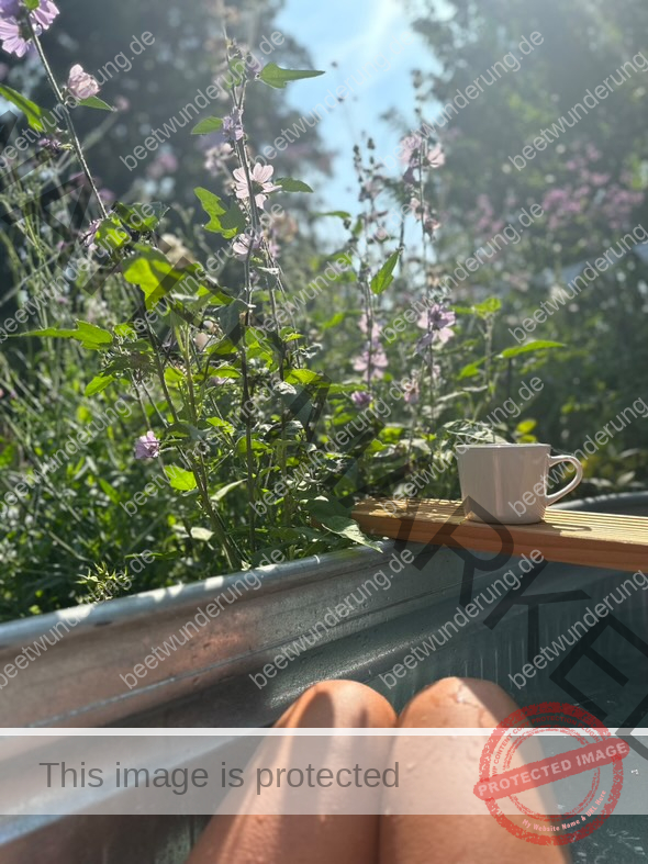 Sitzplatz
Lieblingssitzplatz
beetwunderung.de
terrasse
Gartenstühle
Gartentisch
sven beck
blüh auf!
Gartenbuch