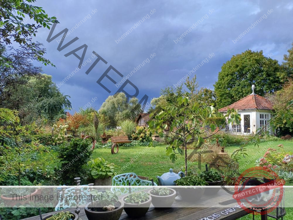 Sitzplatz
Lieblingssitzplatz
beetwunderung.de
terrasse
Gartenstühle
Gartentisch
sven beck
blüh auf!
Gartenbuch