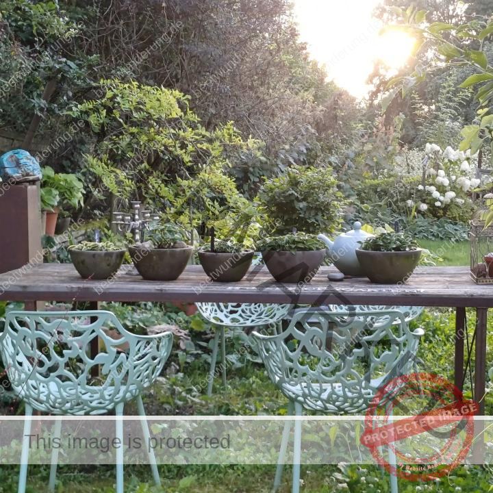Sitzplatz
Lieblingssitzplatz
beetwunderung.de
terrasse
Gartenstühle
Gartentisch
sven beck
blüh auf!
Gartenbuch