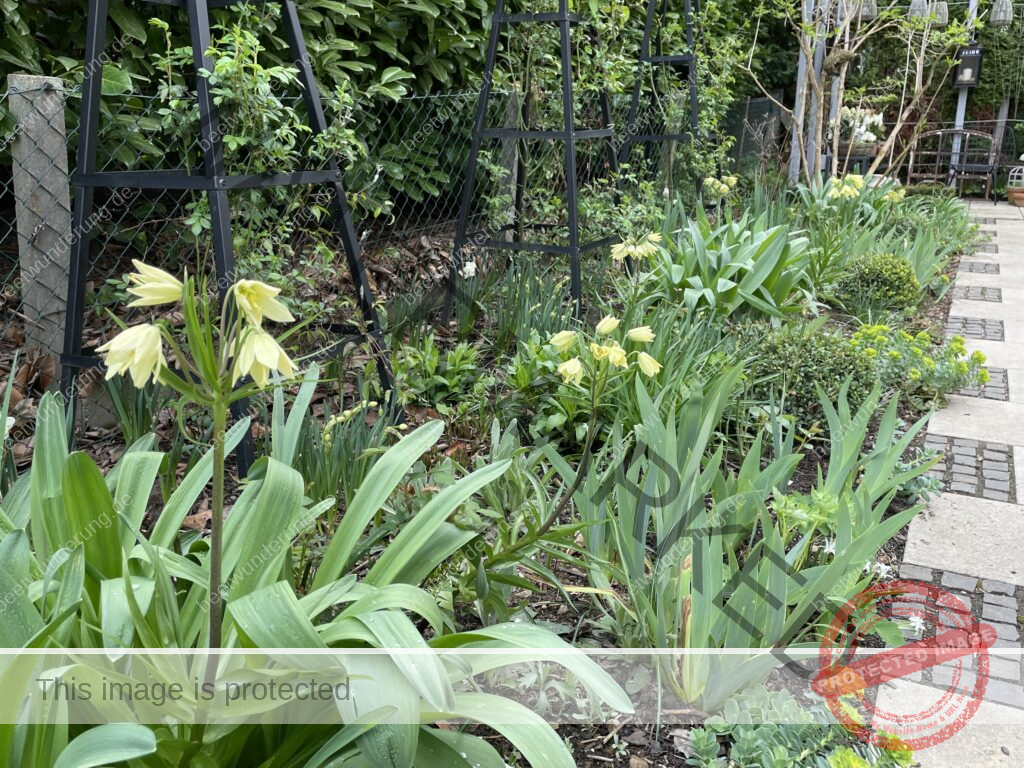 organischer Dünger
Dünger Naturdünger
nachhaltig biologisch
geschlossener Kreislauf
Familie Karle
beetwunderung.de
Gartenblog
Sven Beck
Blüh auf!
Gartenbuch
Rabattcode