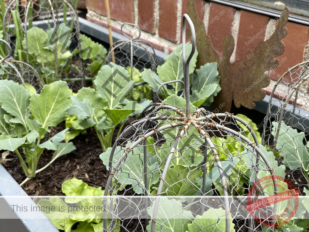 organischer Dünger
Dünger Naturdünger
nachhaltig biologisch
geschlossener Kreislauf
Familie Karle
beetwunderung.de
Gartenblog
Sven Beck
Blüh auf!
Gartenbuch
Rabattcode